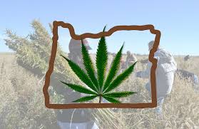 Oregon imagery with Cannabis leaf