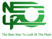NEO420 – Cannabis & Hemp News